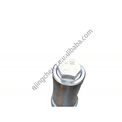 Τυποποιημένα μεγέθη Dongfeng Kinland Truck Diesel Engine Fuel Common Rail Pipe D5010224030